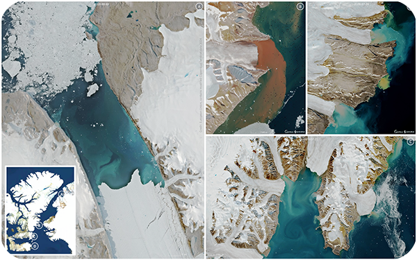 Glaciers à terminaison marine, glaciers à terminaison terrestre et interactions avec l'océan sentinelle nord